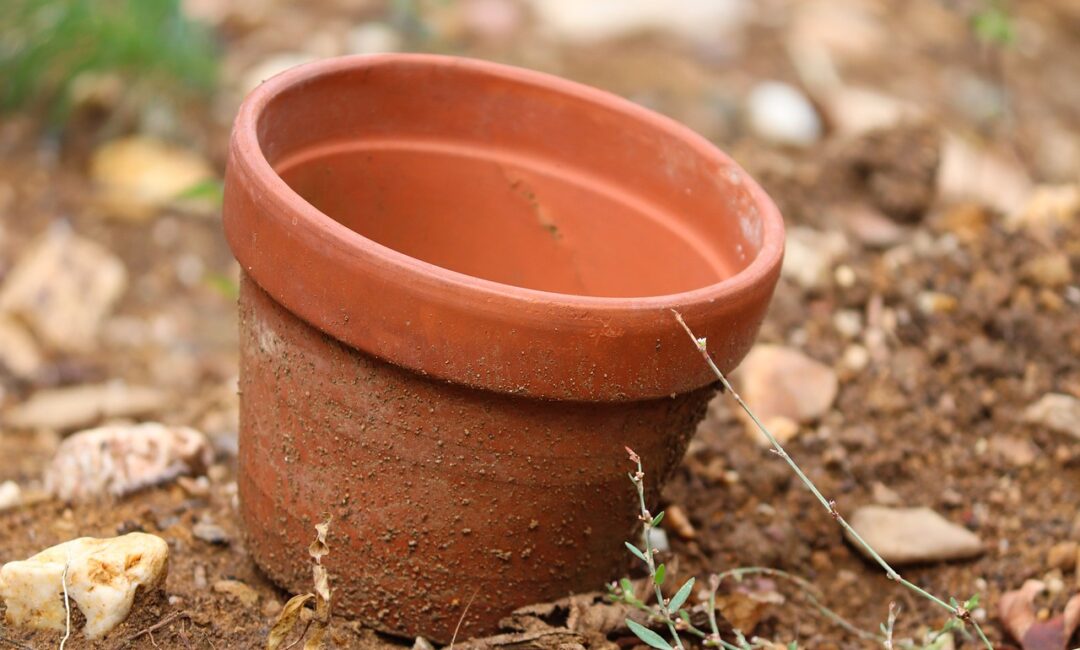 Mur_terracotta_:_Un_atout_déco_pour_votre_maison